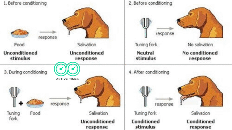 examples of classical conditioning in everyday life