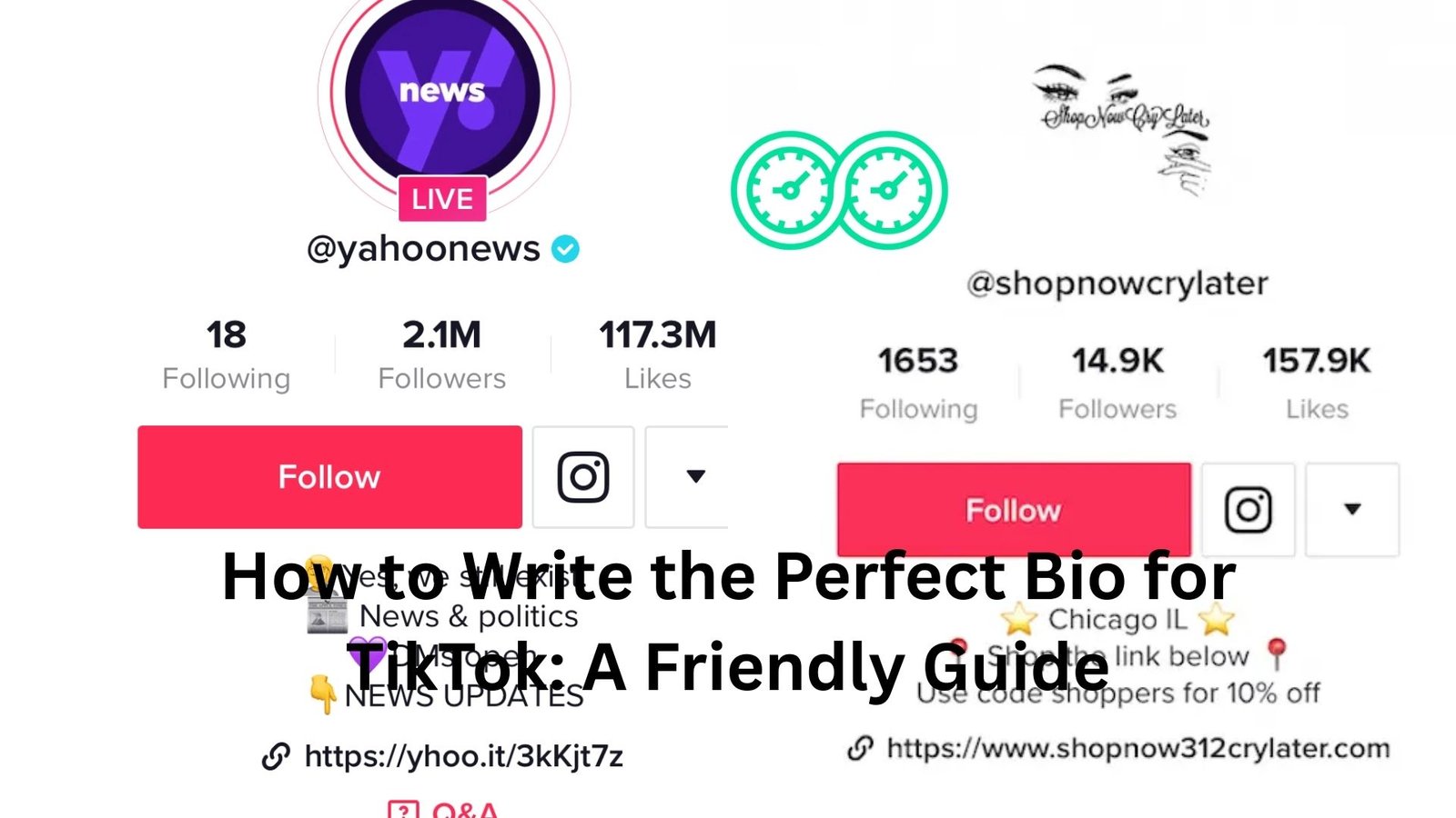 bio for tiktok