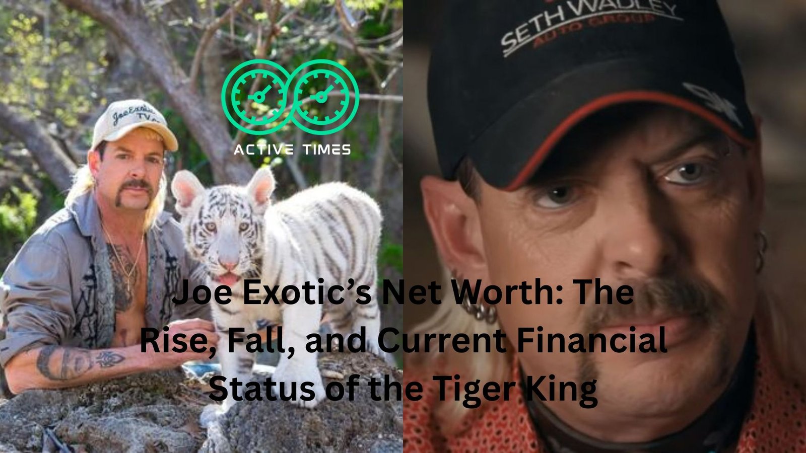 "joe exotic net worth"